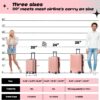 AnyZip 20-Inch Carry-On Suitcase with Laptop Compartment (Pink)