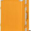 AnyZip 24-Inch Aluminium Frame Suitcase (Orange)